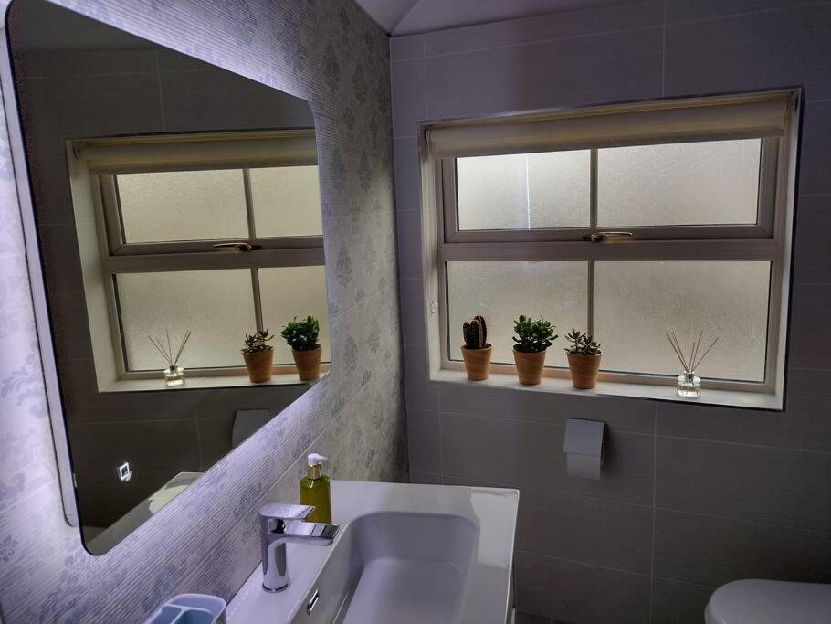 White Birds Townhouse In Sligo Town Center Leilighet Eksteriør bilde